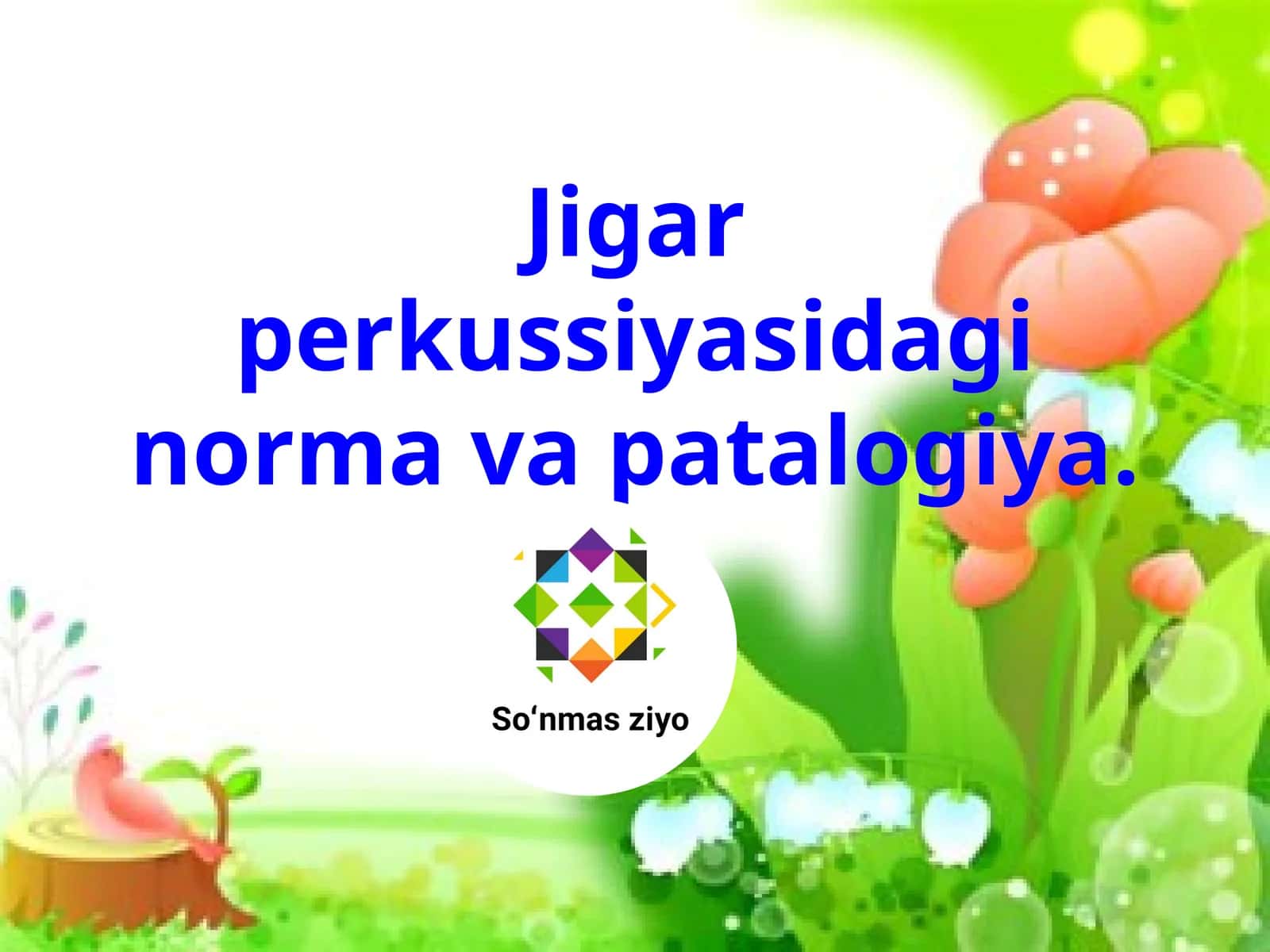 Jigar perkussiyasidagi norma va patalogiya 1