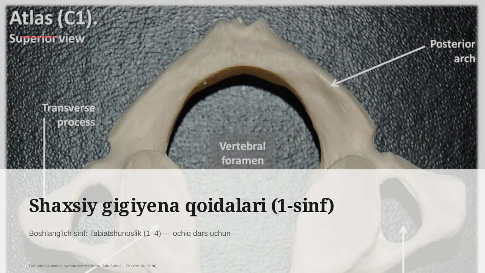 Shaxsiy gigiyena qoidalari (1-sinf) 1
