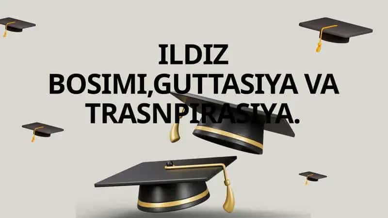 Ildiz Bosimi 1