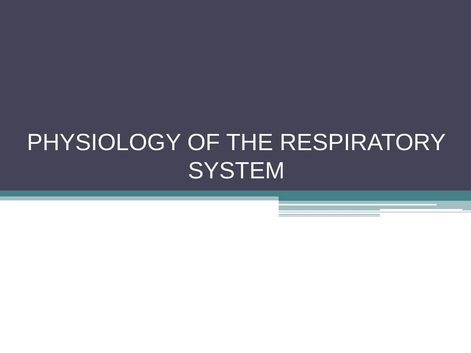 RESPIRATORY SYSTEM PHYSIOLOGY 1