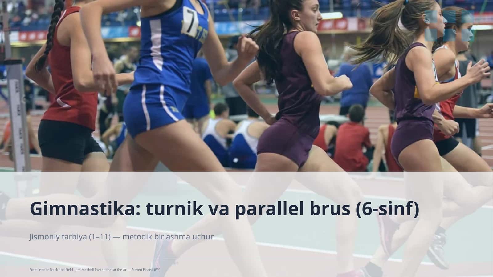 Gimnastika: turnik va parallel brus (6-sinf) 1