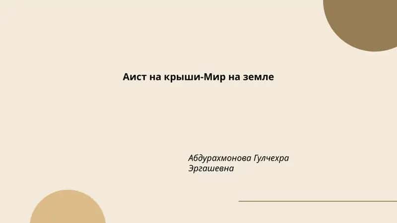 Аист на крыше-Мир на земле 1