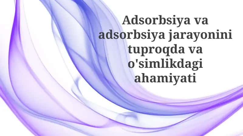 Adsorbsiya jarayoni: ta'rif va turlari 1