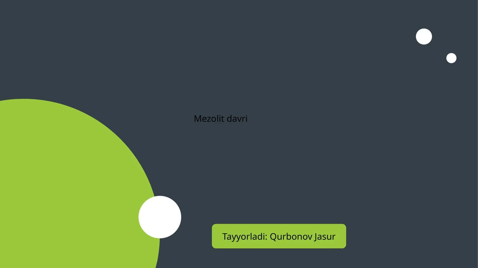 Mezolit davri 1