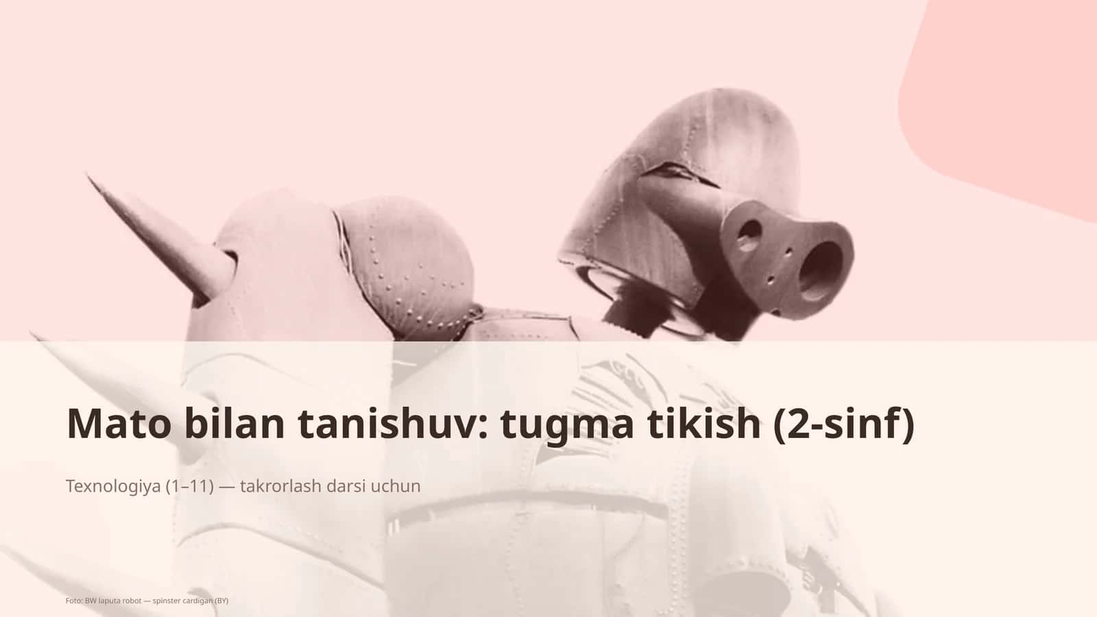 Mato bilan tanishuv: tugma tikish (2-sinf) 1