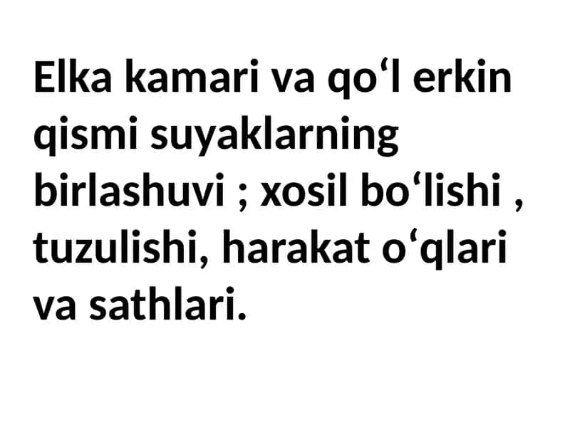 Yelka kamari 1