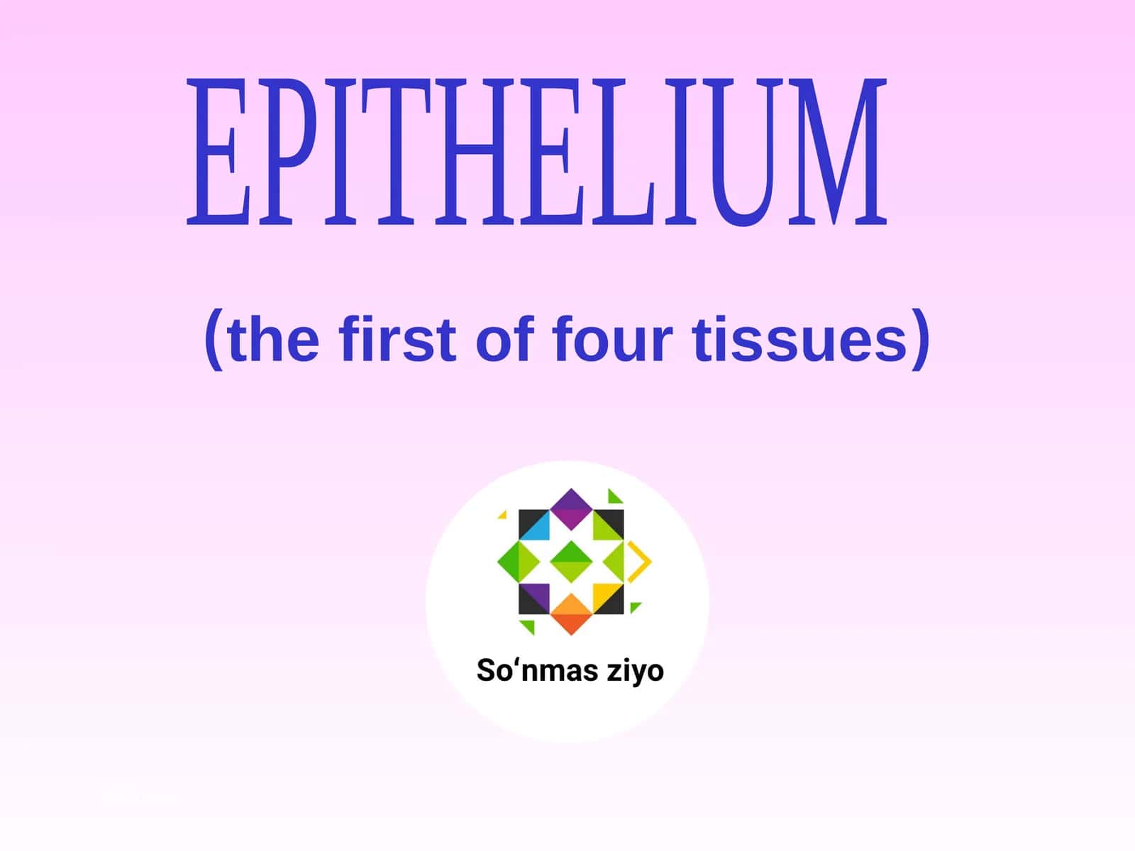 EPITHELIUM 1