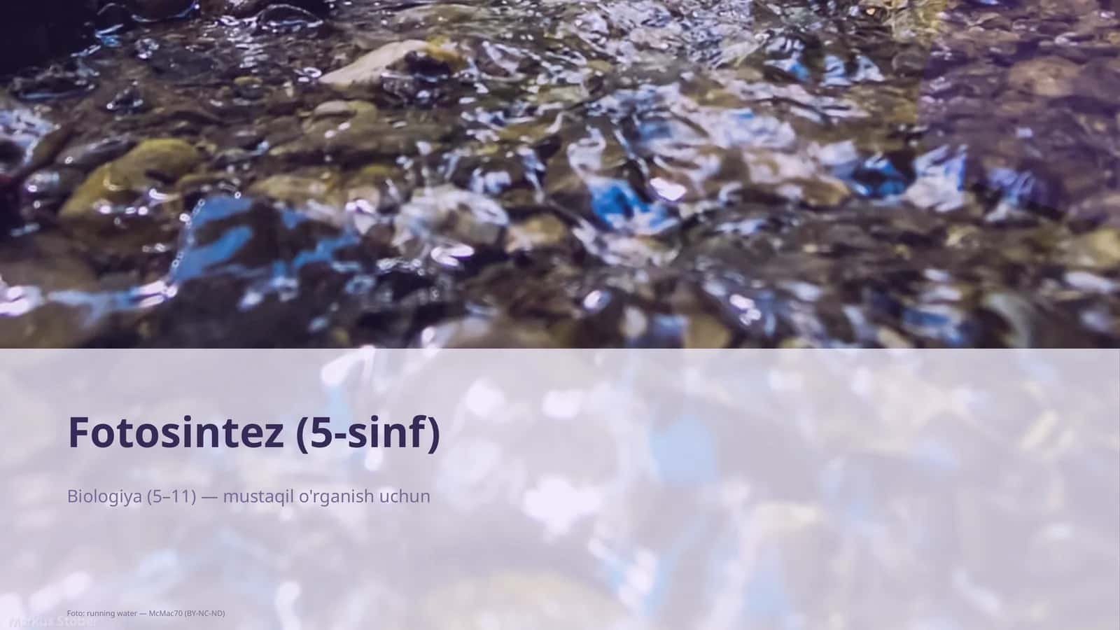 Fotosintez (5-sinf) 1