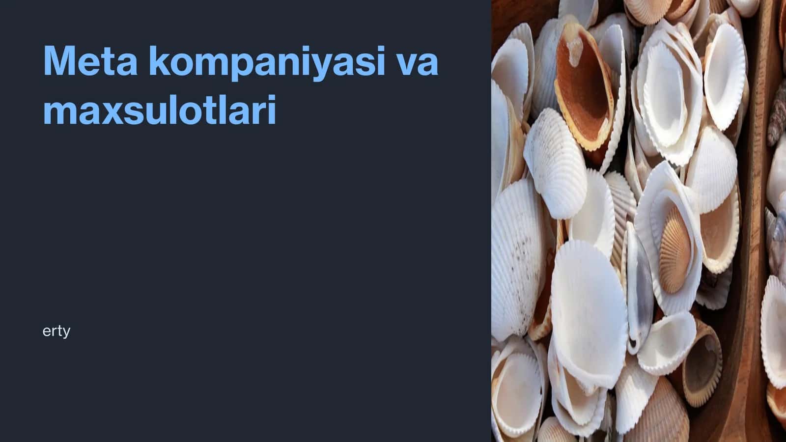 Meta kompaniyasi va maxsulotlari 1