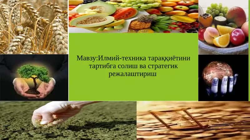 Янгиликлар бозори 1