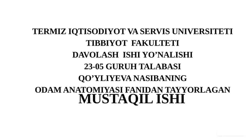 Yon qorinchalari variant anatomiyasi 1