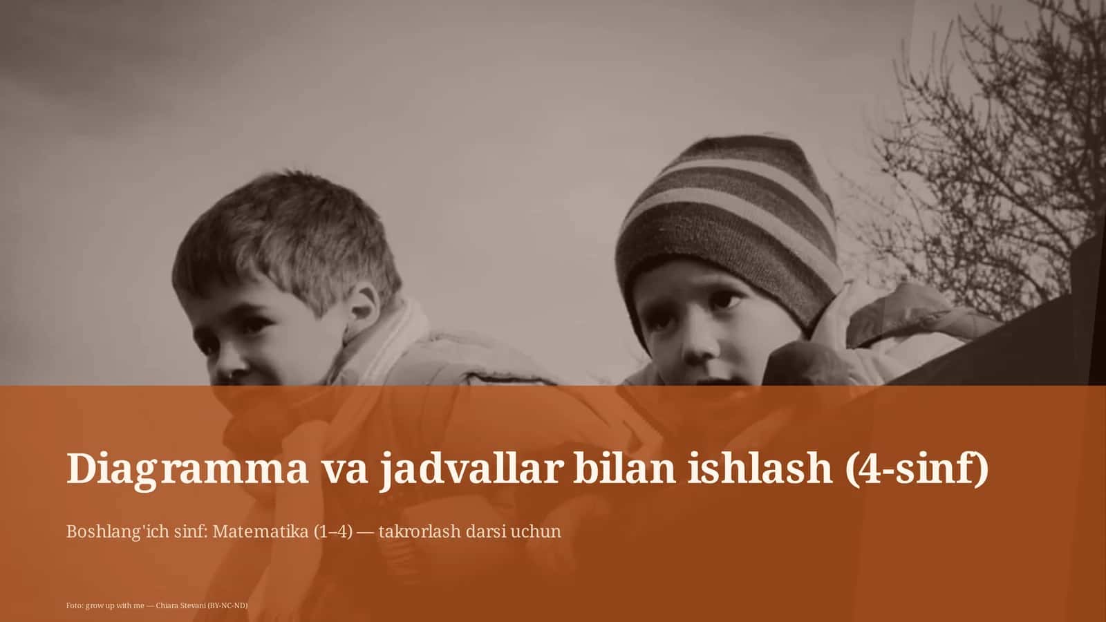 Diagramma va jadvallar bilan ishlash (4-sinf) 1