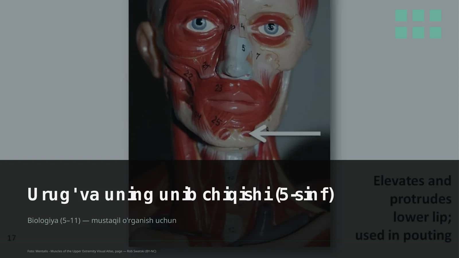 Urug' va uning unib chiqishi (5-sinf) 1