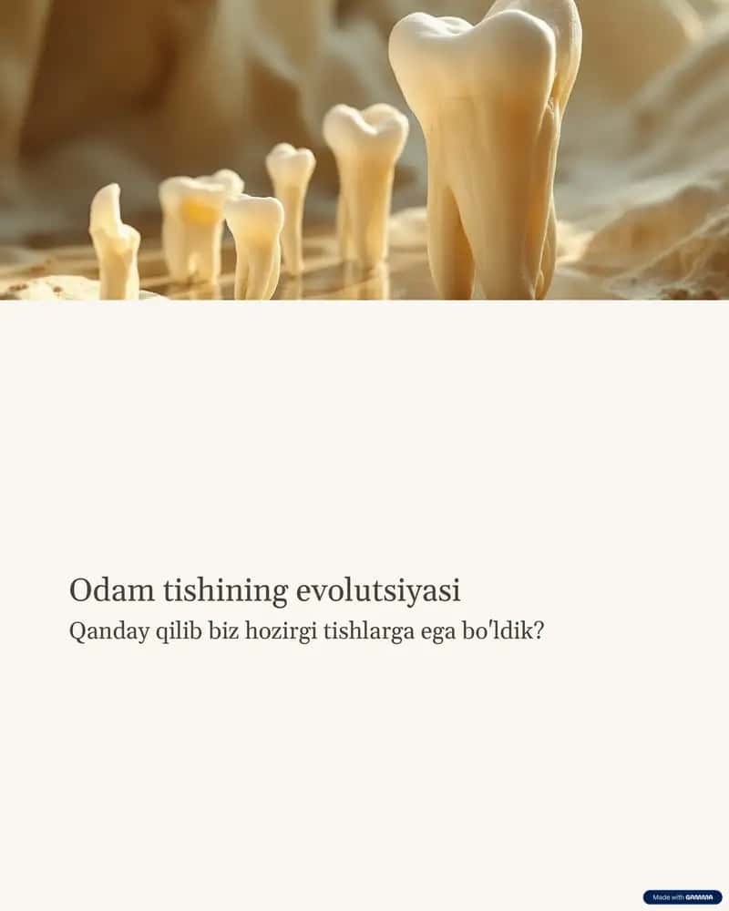 tish evolutsiyasi 1