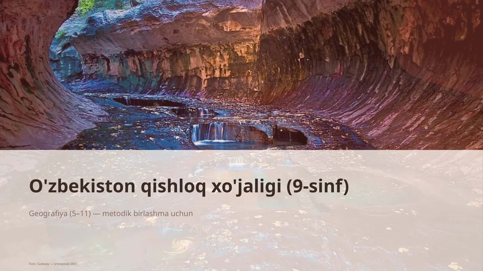 O'zbekiston qishloq xo'jaligi (9-sinf) 1