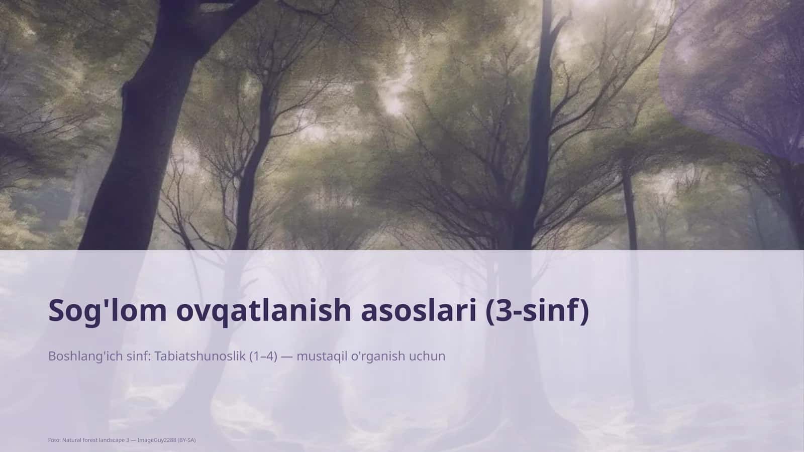 Sog'lom ovqatlanish asoslari (3-sinf) 1