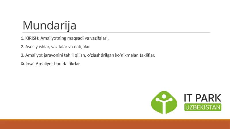 IT PARK da oʻtagan amaliyot hisoboti 1