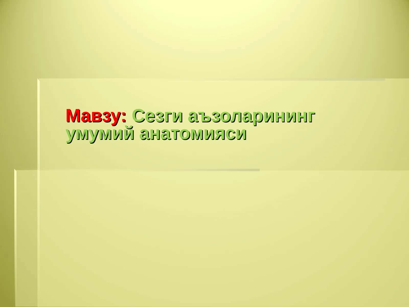 Сезги аъзоларининг умумий анатомияси 1