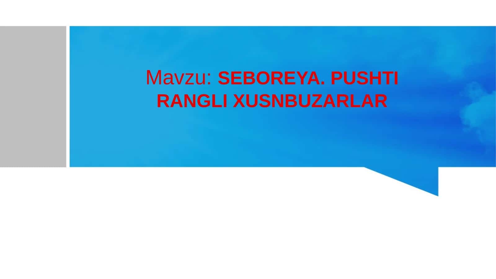 SEBOREYA. PUSHTI RANGLI XUSNBUZARLAR 1
