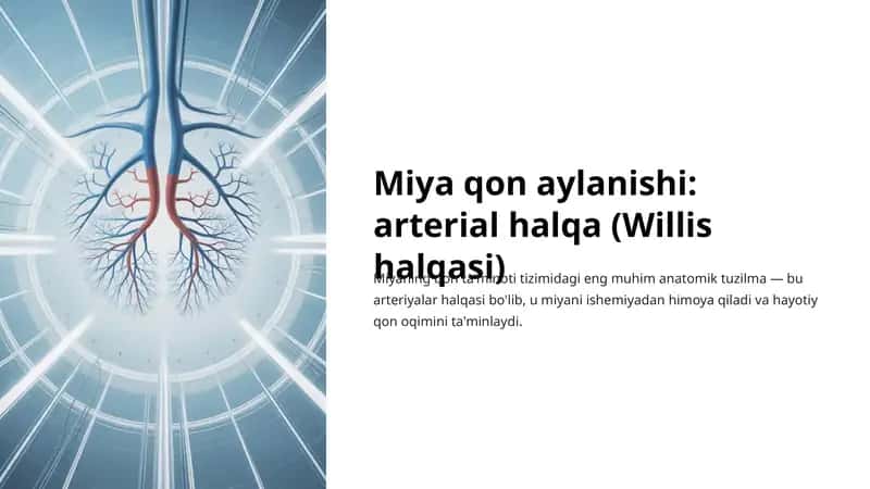 Willis halqasi 1