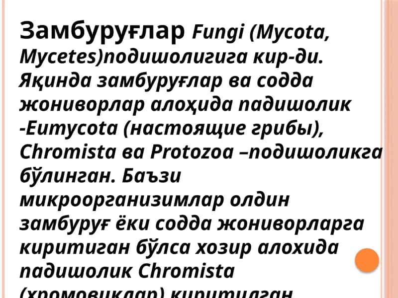 Замбуруғлар 1