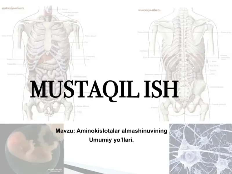 Aminokislotalar almashinuvi 1