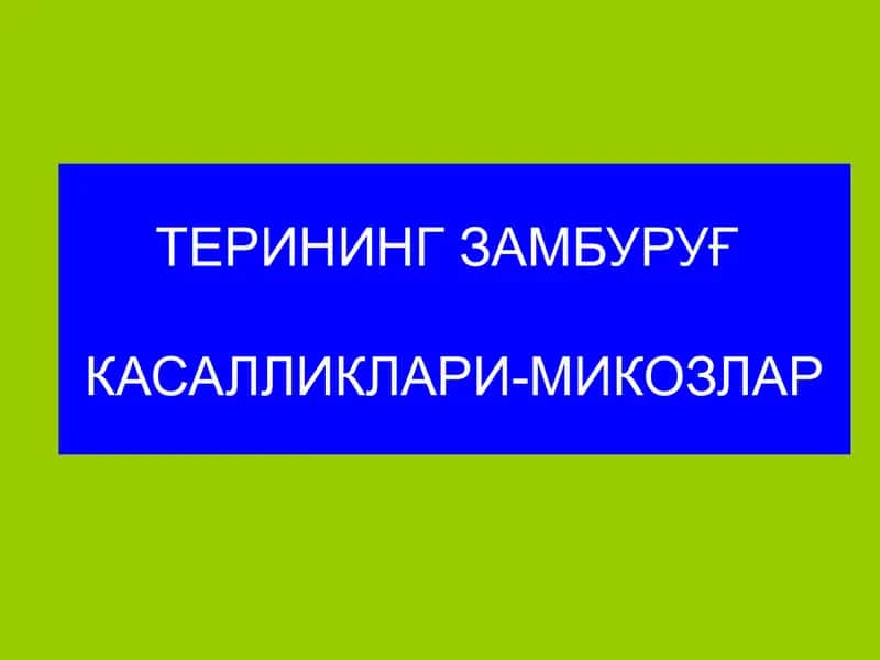 Замбуруғ касалликлари-микозлар 1