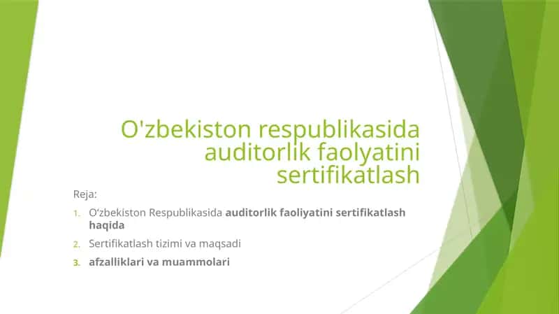 Auditorlik faoliyati 1