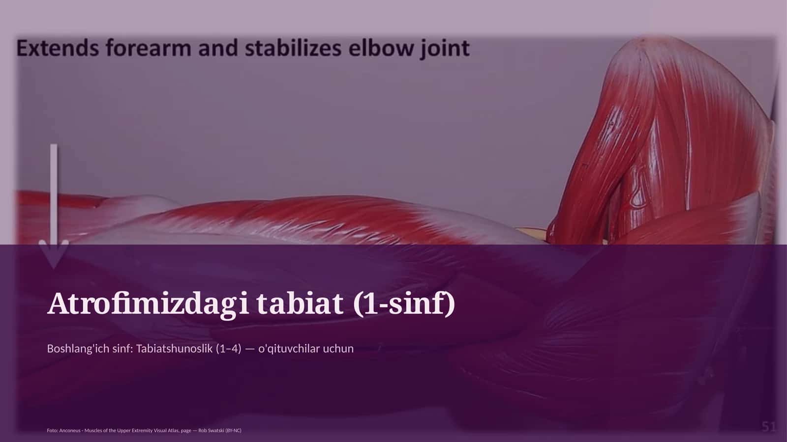 Atrofimizdagi tabiat (1-sinf) 1