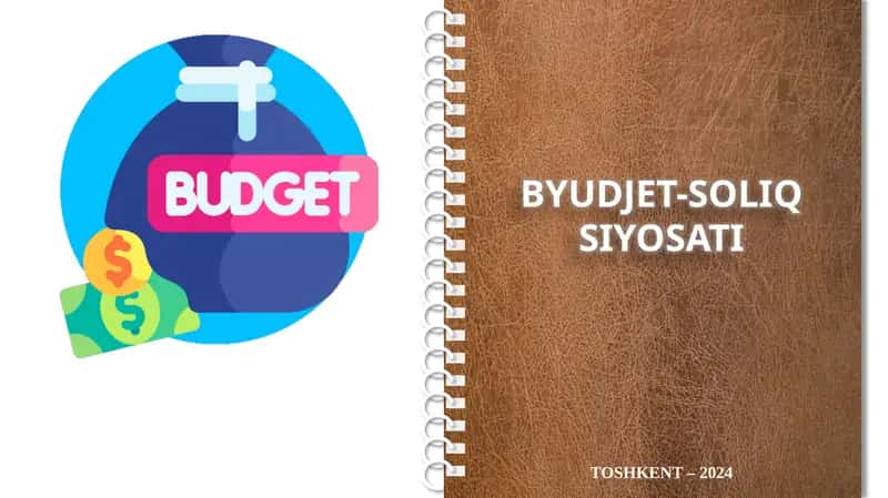 Byudjet-soliq siyosati 1
