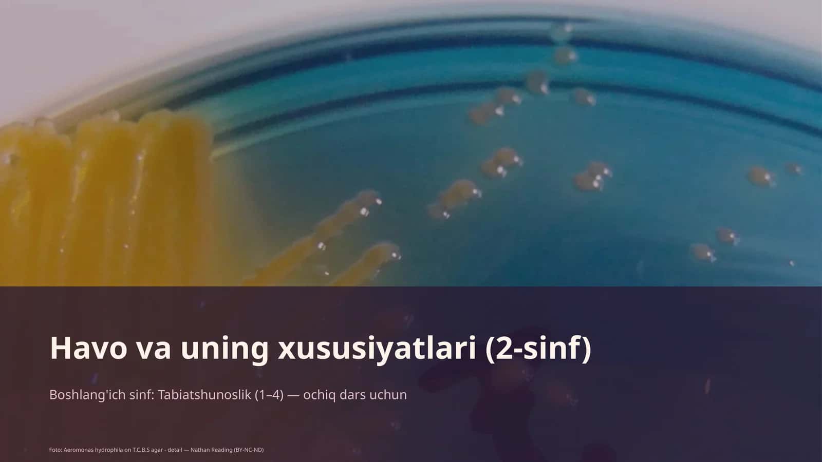 Havo va uning xususiyatlari (2-sinf) 1