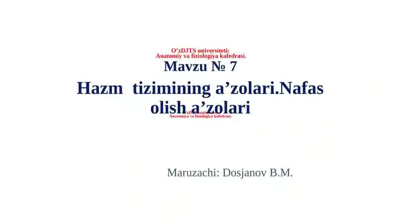 Hazm tizimining a’zolari, Nafas olish a’zolari