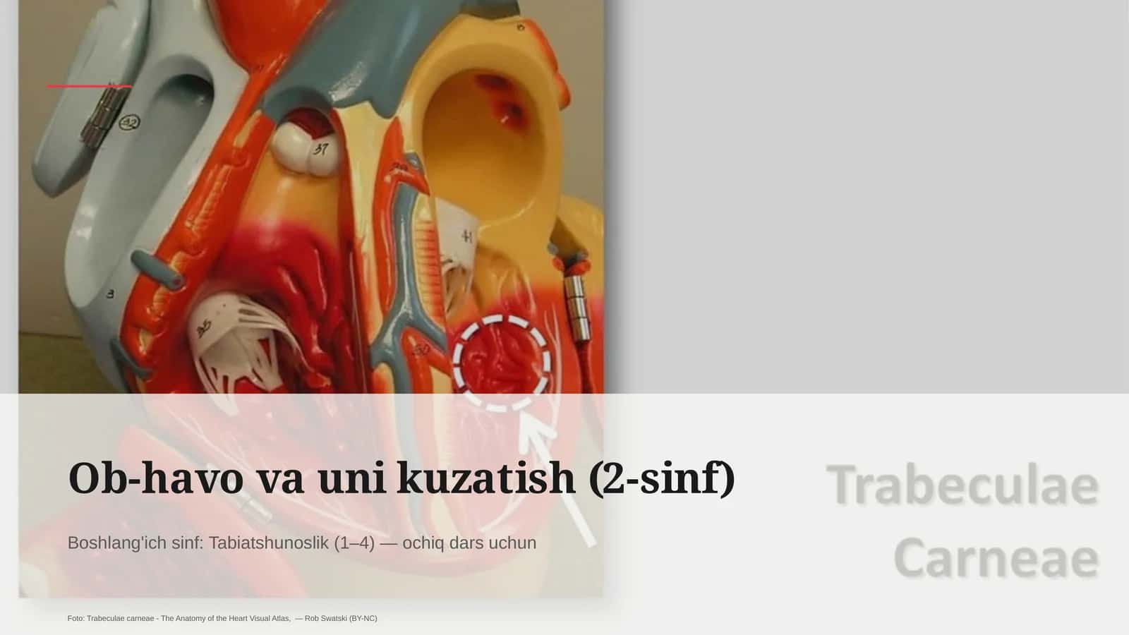 Ob-havo va uni kuzatish (2-sinf) 1