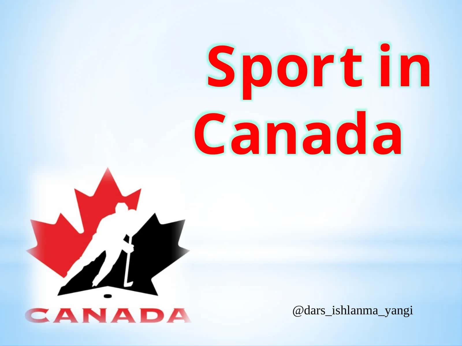 ICE HOCKEY 1