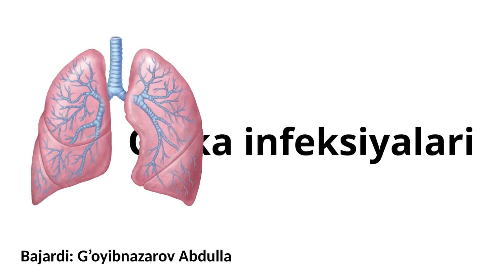 O’pkainfeksiyalari 1