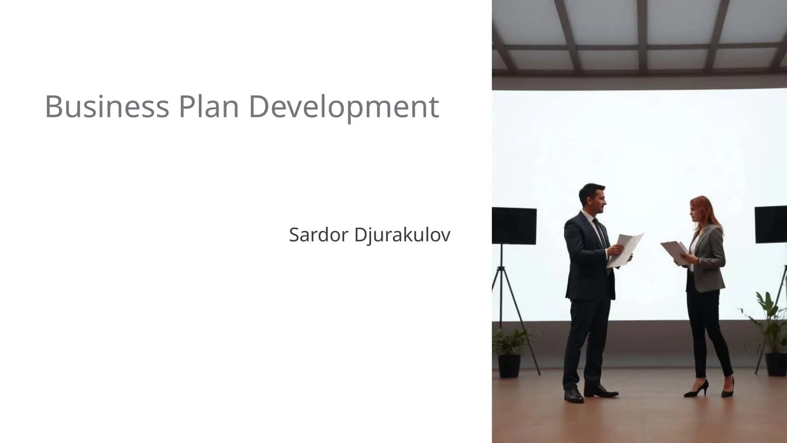 Business Plan Development 1