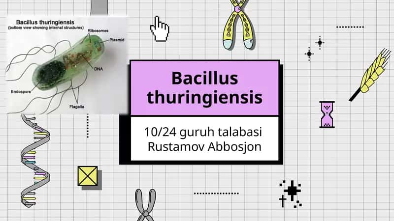 Bacillus thuringiensis 1