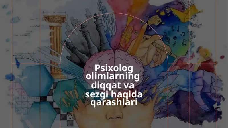 Sezgi,Diqqat 1