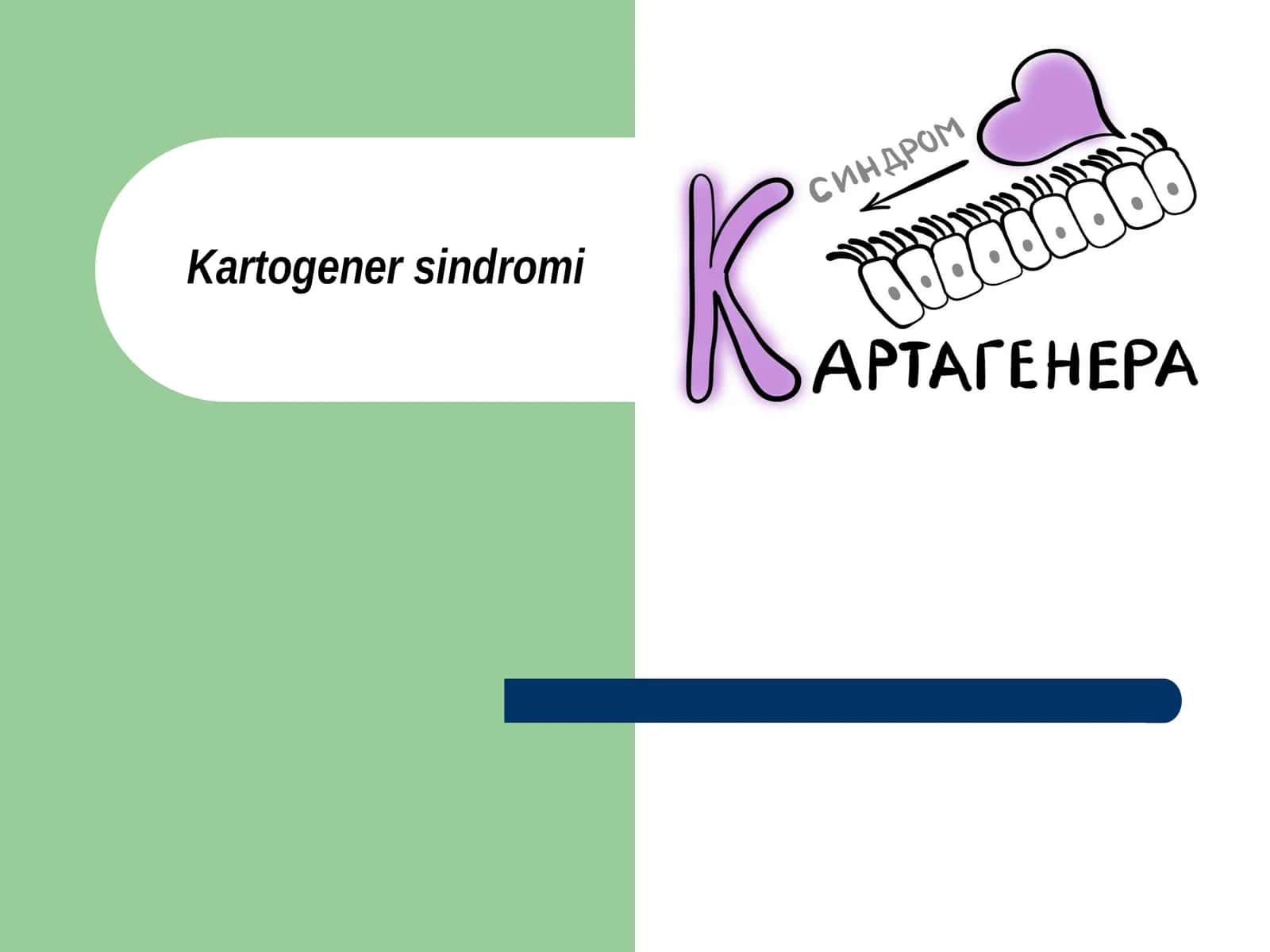 Kartogenersindromi 1