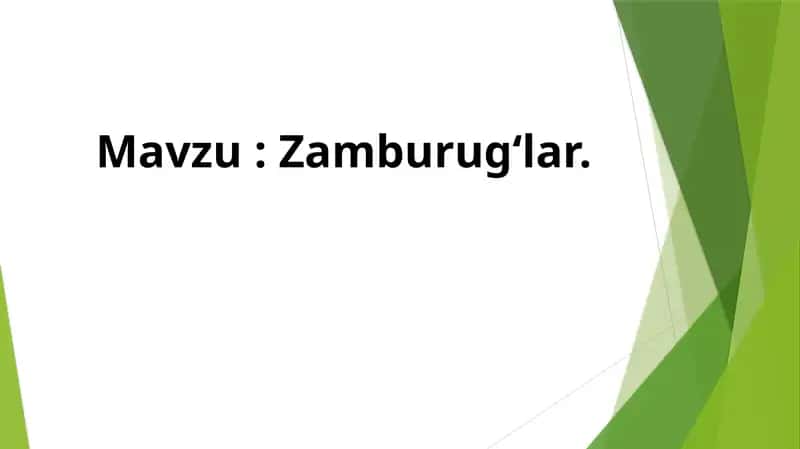 Zamburugʻlar 1
