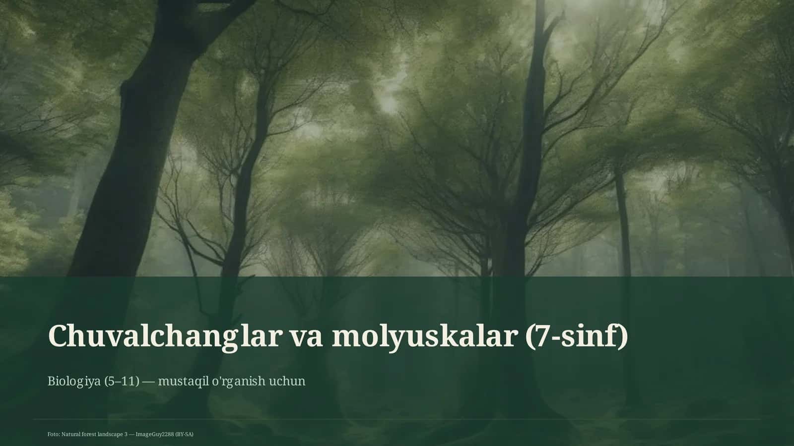 Chuvalchanglar va molyuskalar (7-sinf) 1