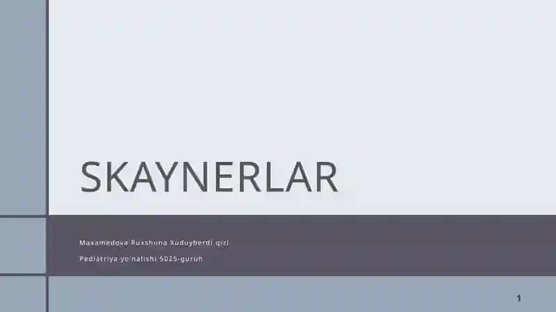 Skaynerlar