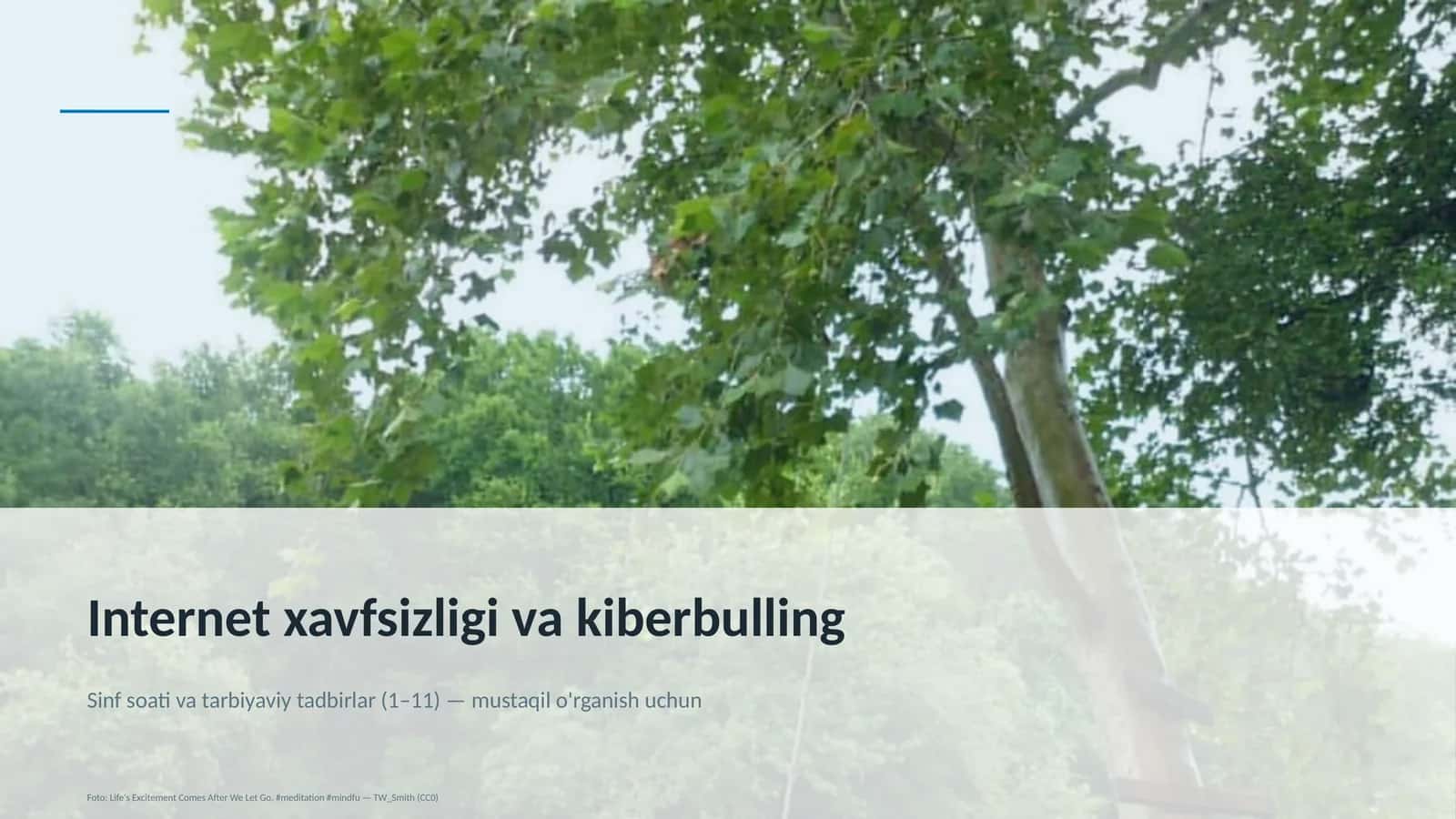 Internet xavfsizligi va kiberbulling 1