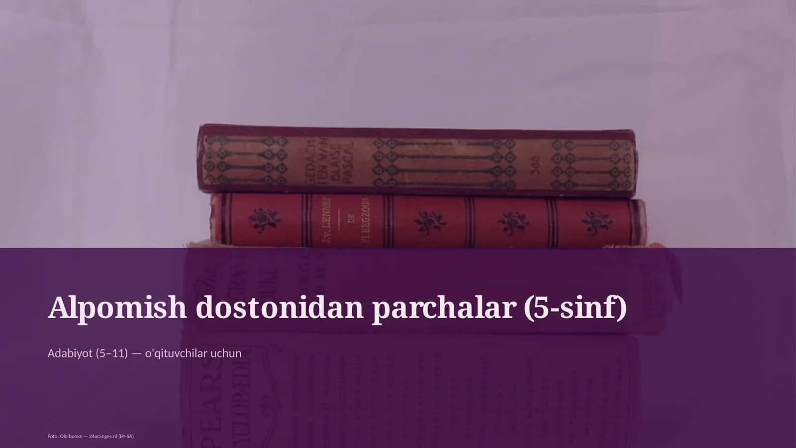 Alpomish dostonidan parchalar (5-sinf) 1