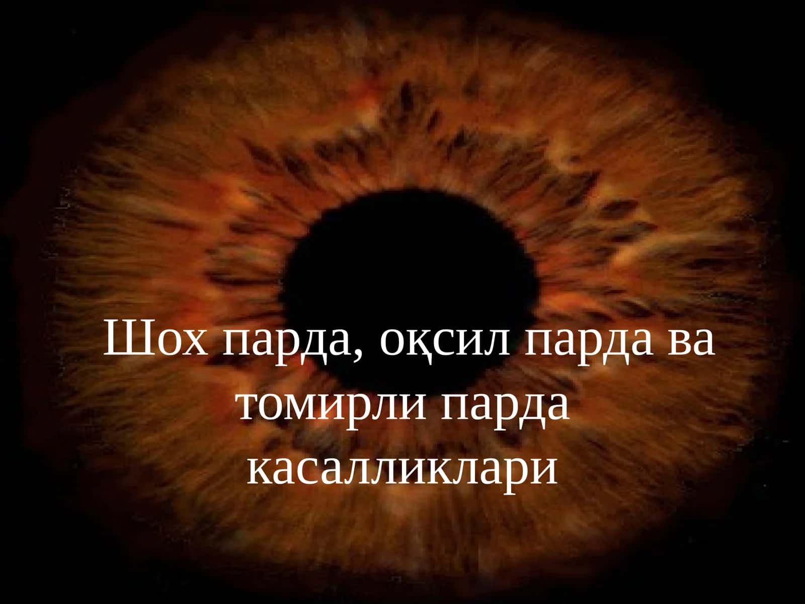 Шох парда патологияси 1