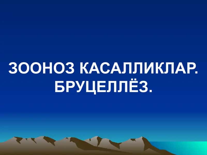 ЗООНОЗ КАСАЛЛИКЛАР. БРУЦЕЛЛЁЗ. 1