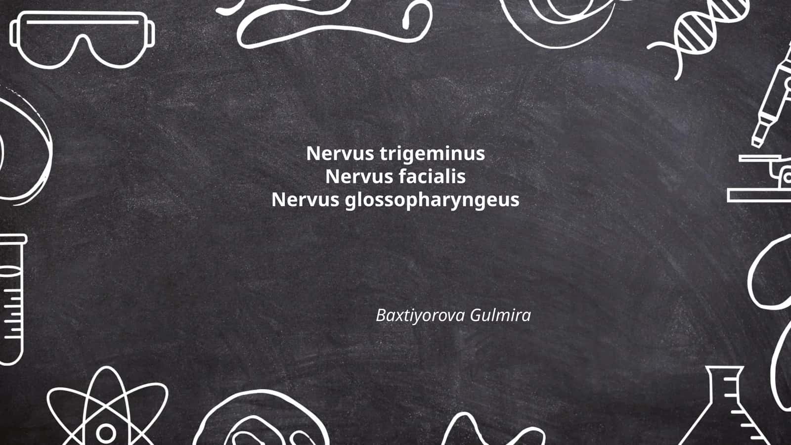 Nervus trigeminus 1