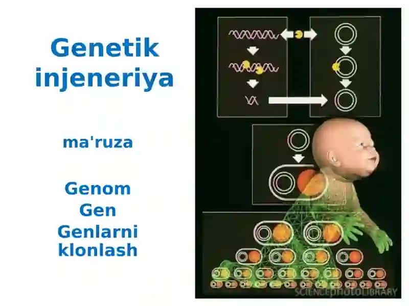 Genetik Injeneriya