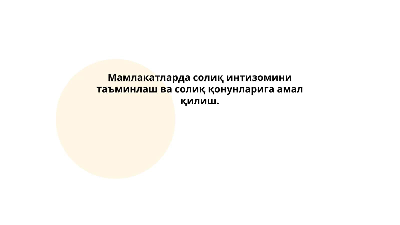 Солиқ назорати тизимлари 1