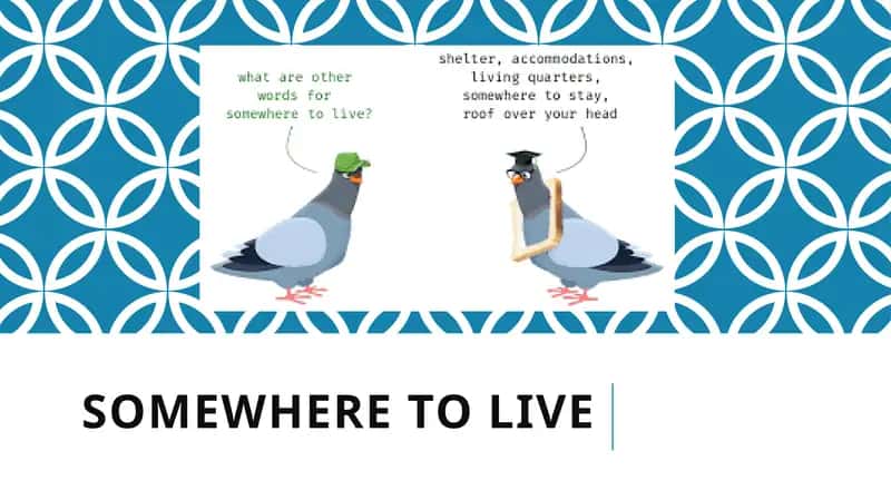 Somewhere to Live 1